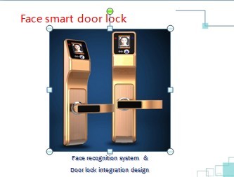 Face smart door lock